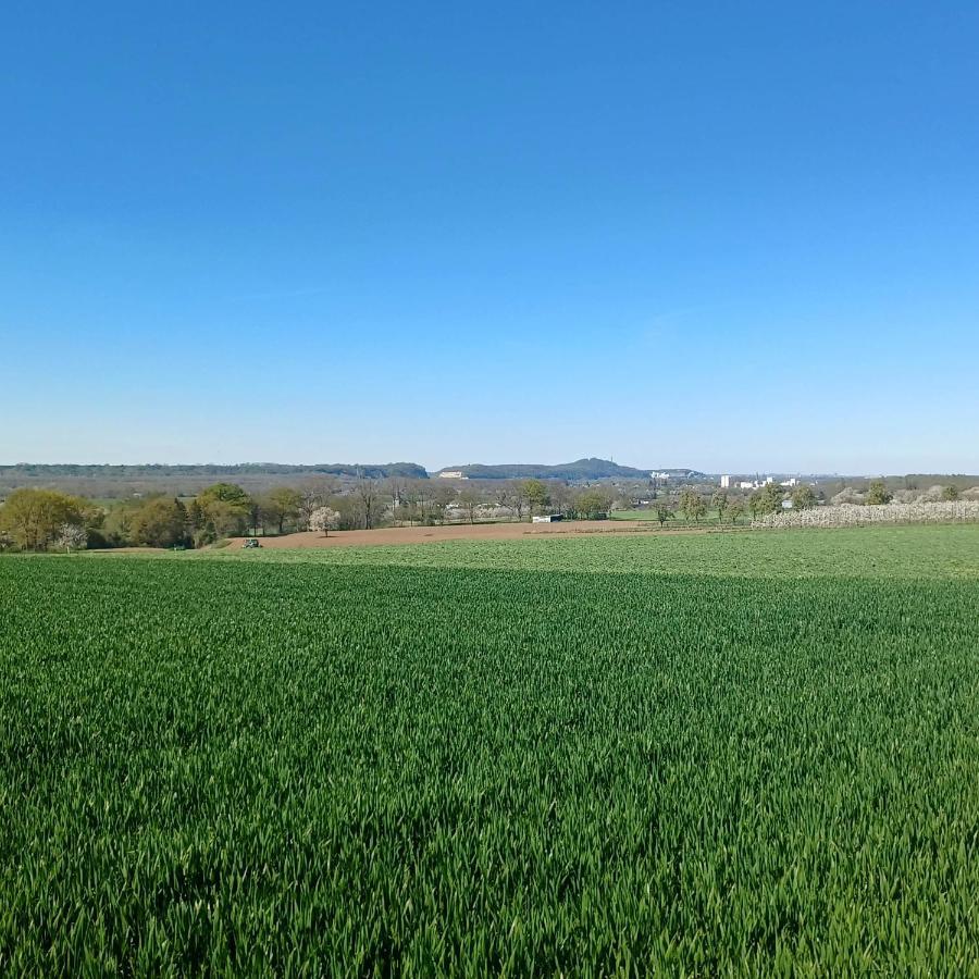 La Cabane Du Coing Visé Zewnętrze zdjęcie